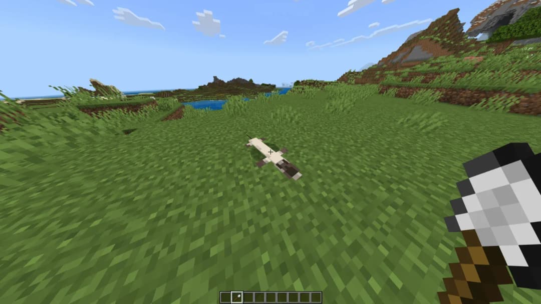 Kedi Kavgası :D görsel 3
