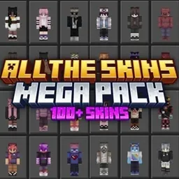 100+ Skin görsel 1